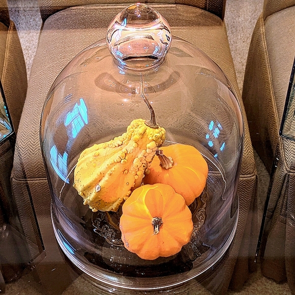 Bell shape glass dome 12" X 10.5" - Picture 9 of 10